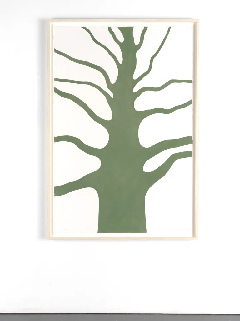 Beech
