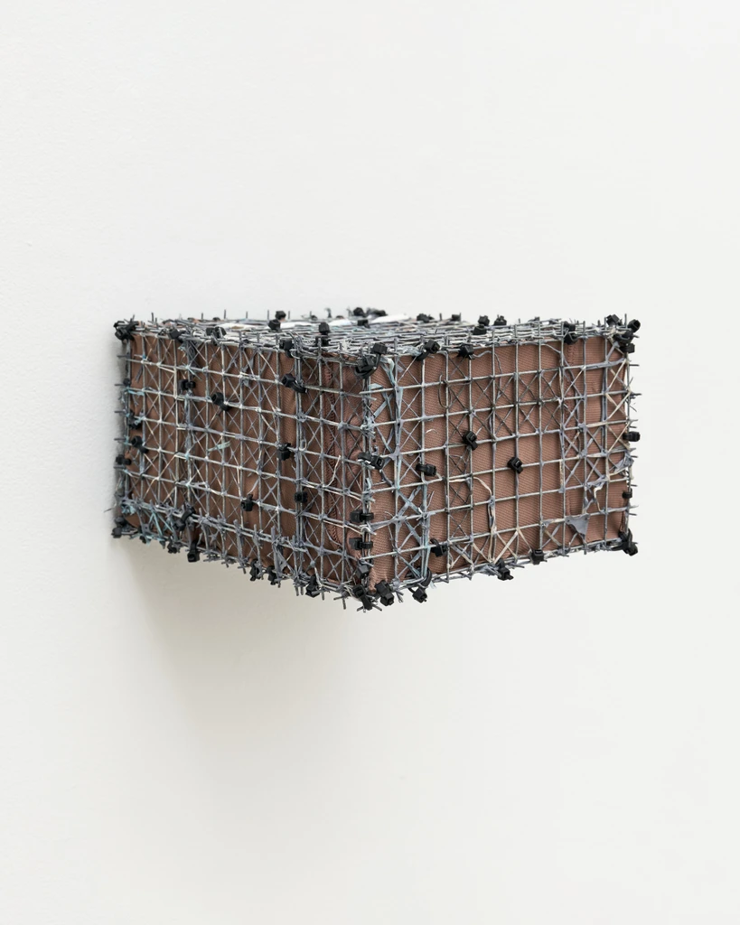 Cage (Brain) # 5 (Scaffolding 2)