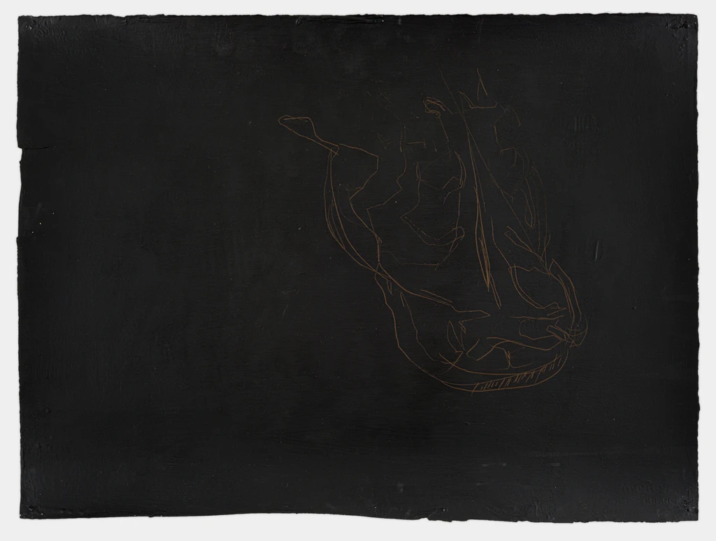 Untitled (Catfish skull on black)