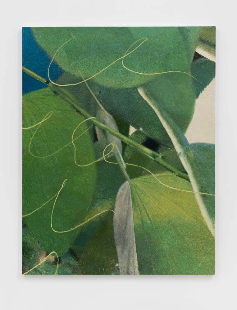 Leaf-XMN