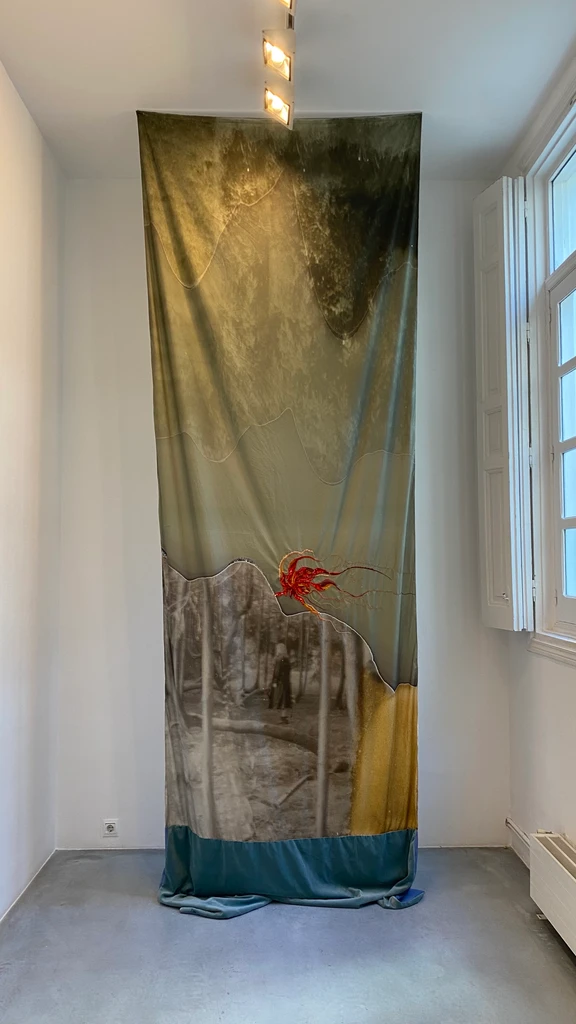 Curtain (Botanic Garden/Forest)