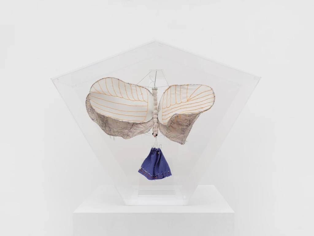 Tarma / Moth