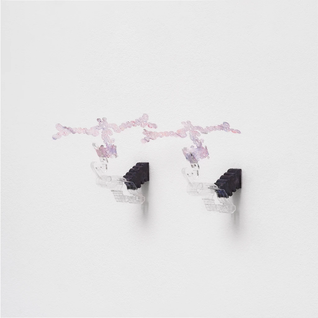 Feral Possible 15-16