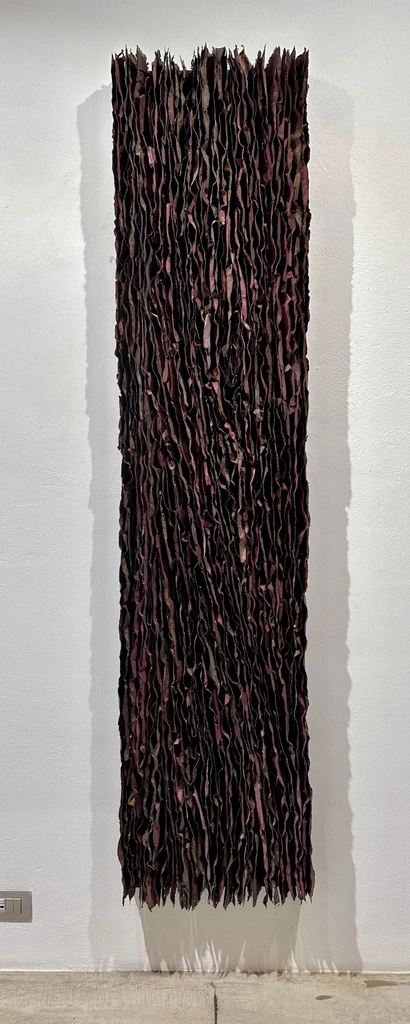 Algae 5