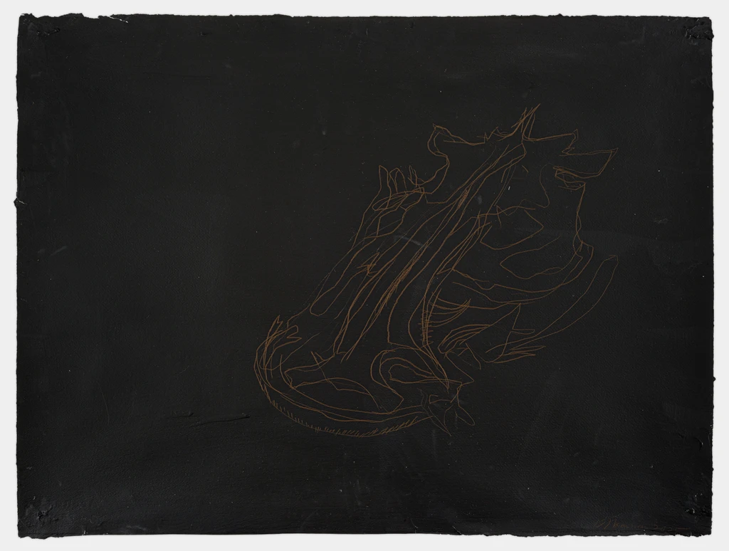 Untitled (Catfish skull on black)