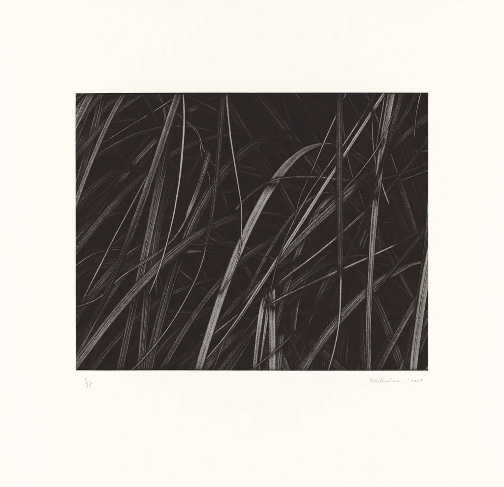 Untitled 2