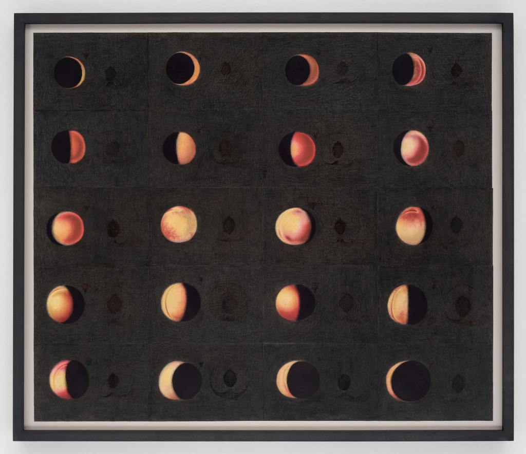 Fruits and Shadows