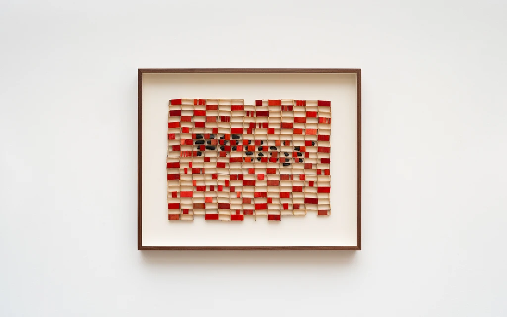 Sem título | Untitled (The colour side of the flames) 