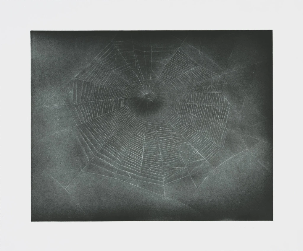 Untitled (Web 3)