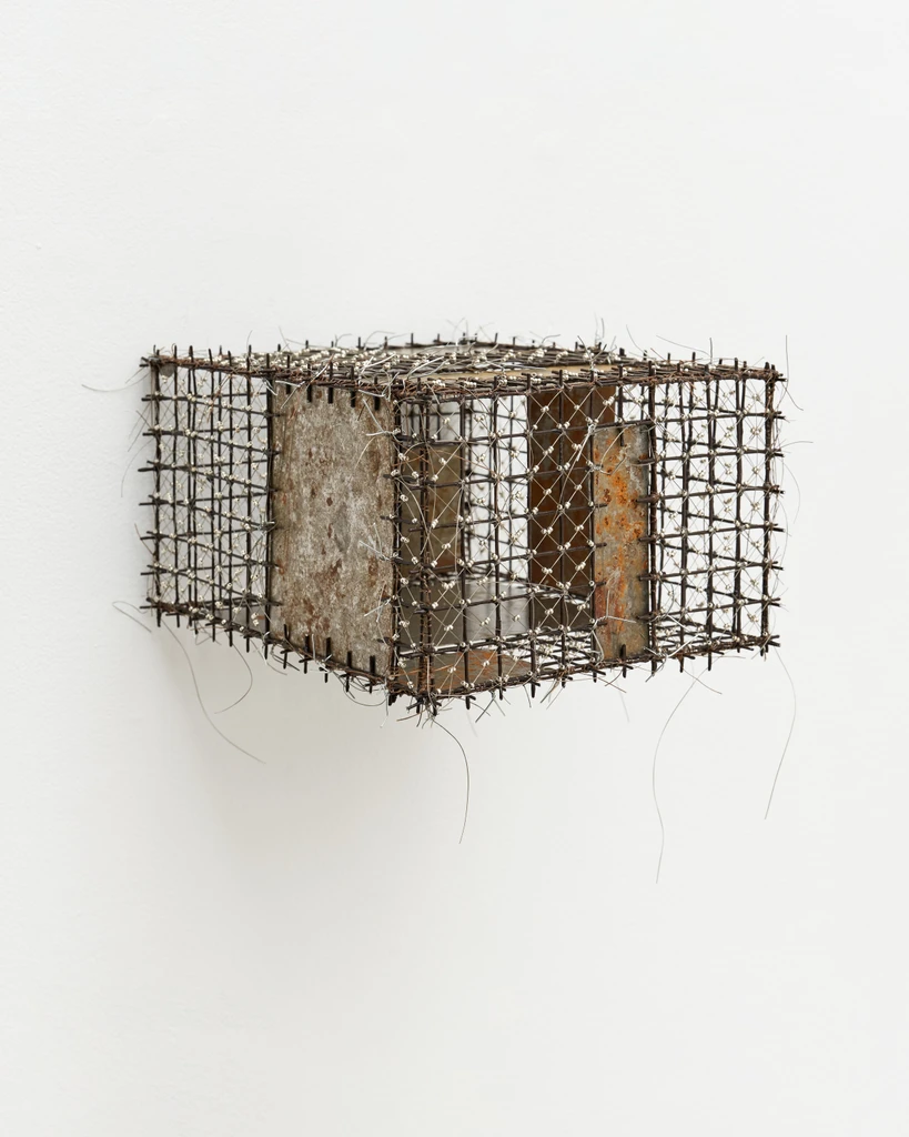Cage (Brain) # 14 (Aging)