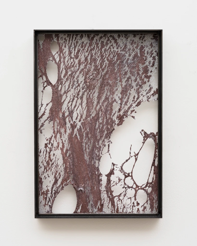 Untitled #9 (framed flat skin pieces from Open Wound)