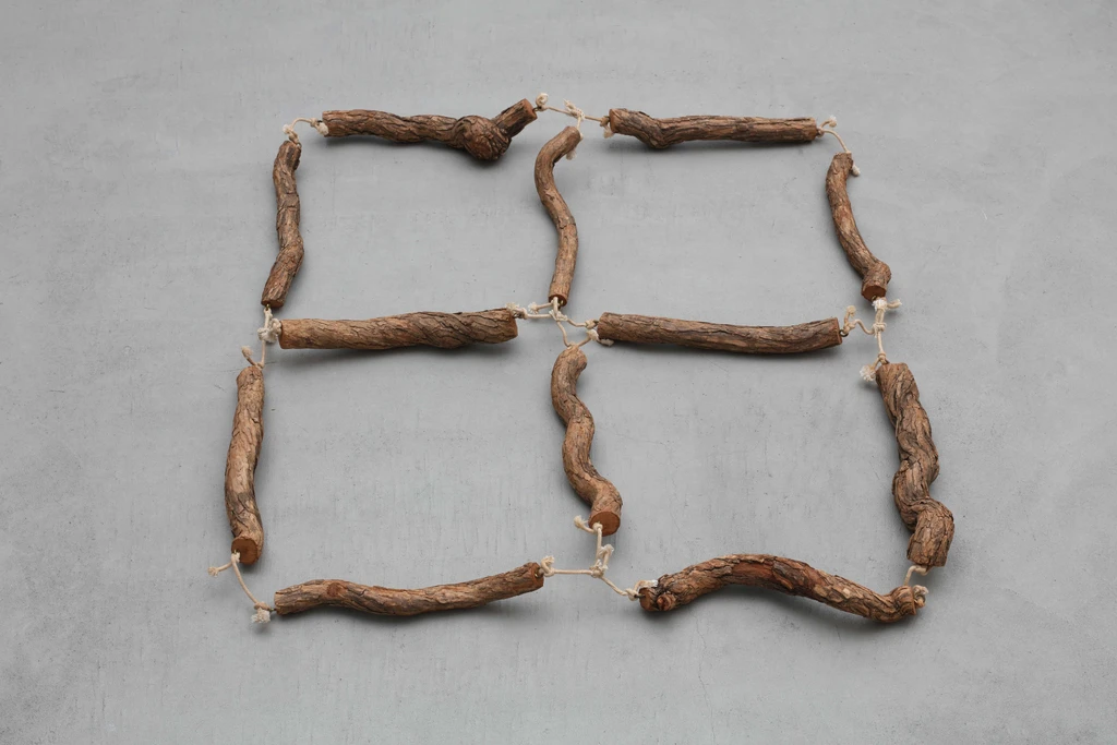 Net of Wood