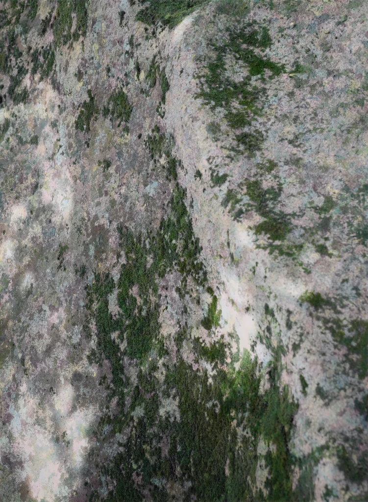 Painting from Nature A