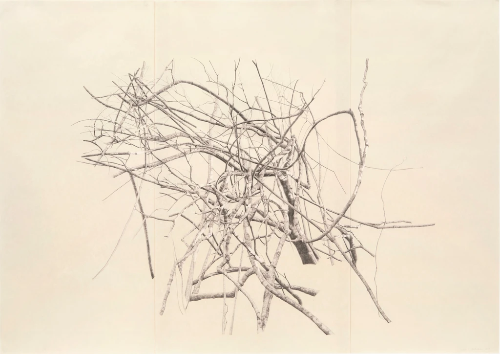 Untitled (large branches)