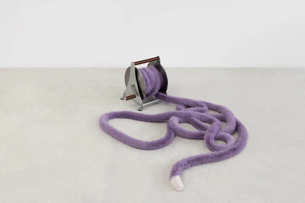 Domestic Tail (purple, 13 metres)