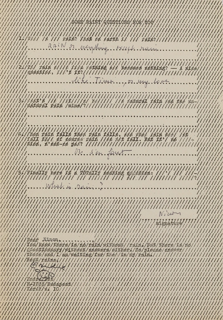 Some rainy questions for you / Ninon