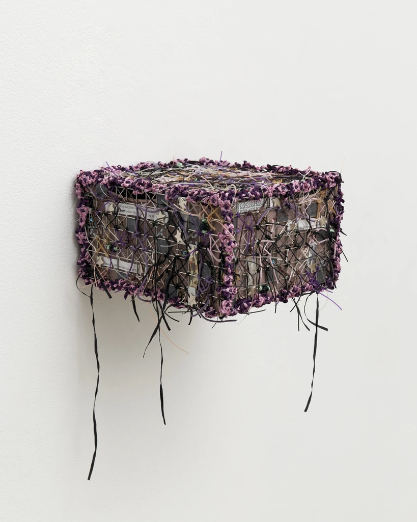 Cage (Brain) # 12 (Inner Child)