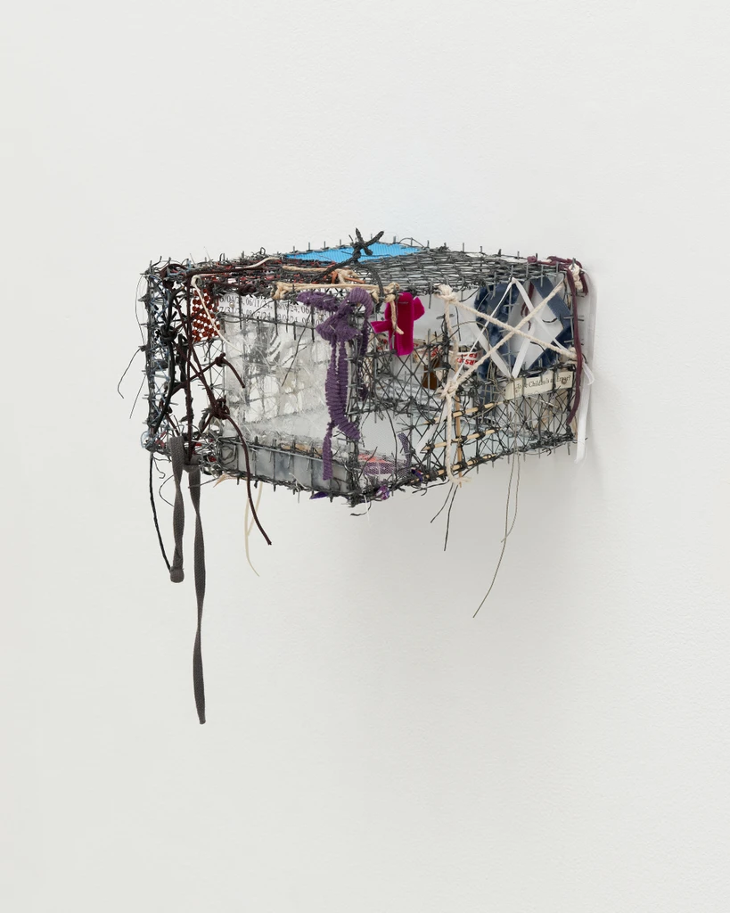 Cage (Brain) # 7 (Broken Object)