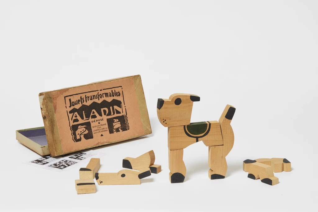 Perro con caja