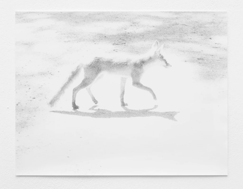 Fuchs