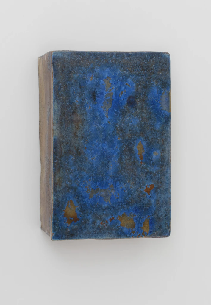Case XVIII