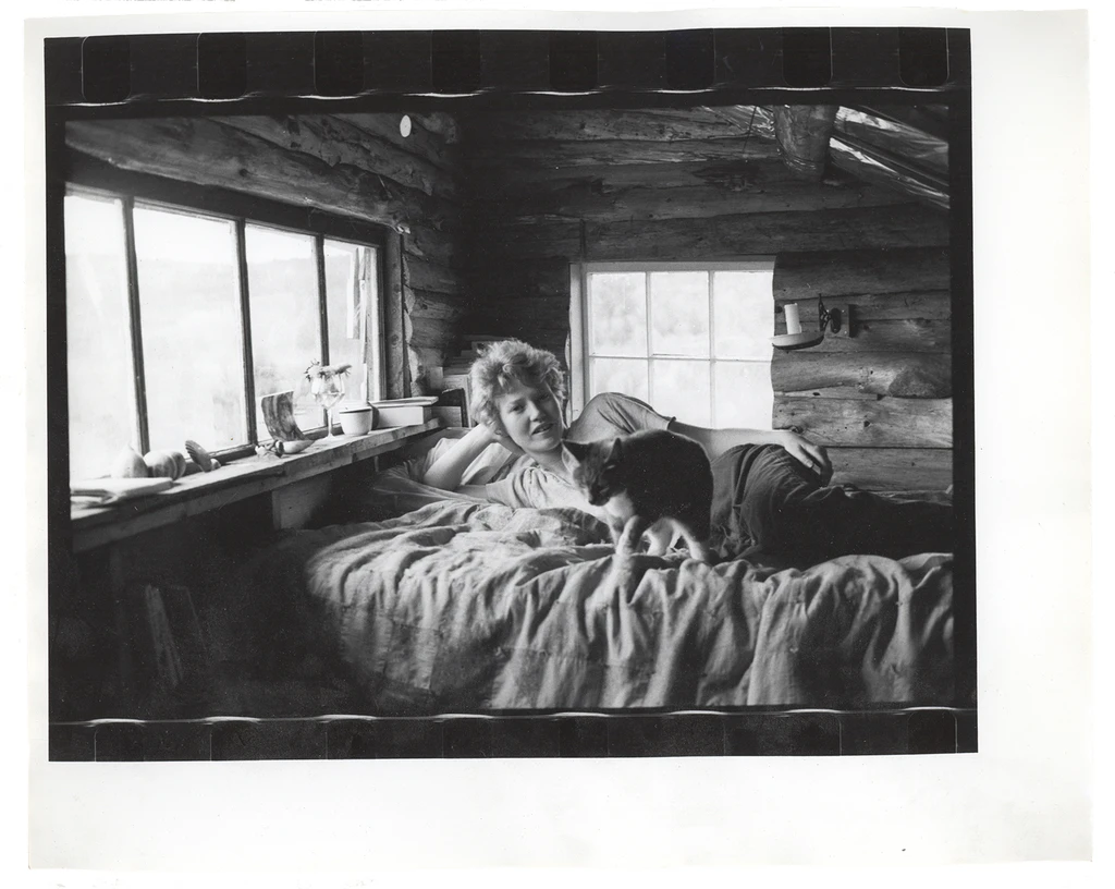 Self-portrait interuptus, Maine