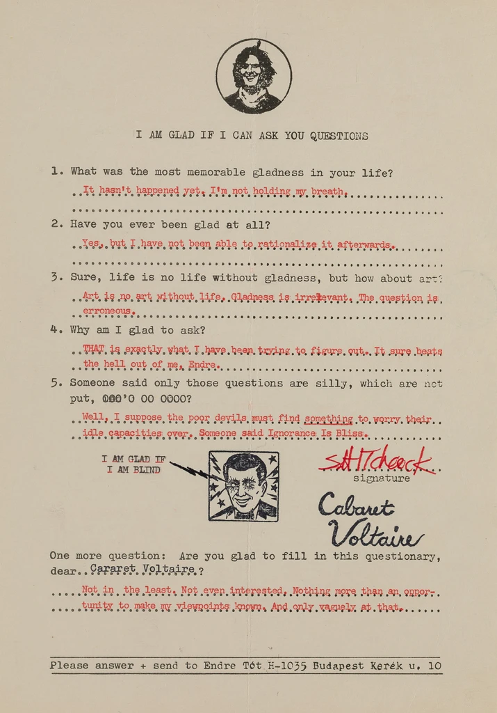 I am glad if I can ask questions / Cabaret Voltaiere / Steve Hitchcock