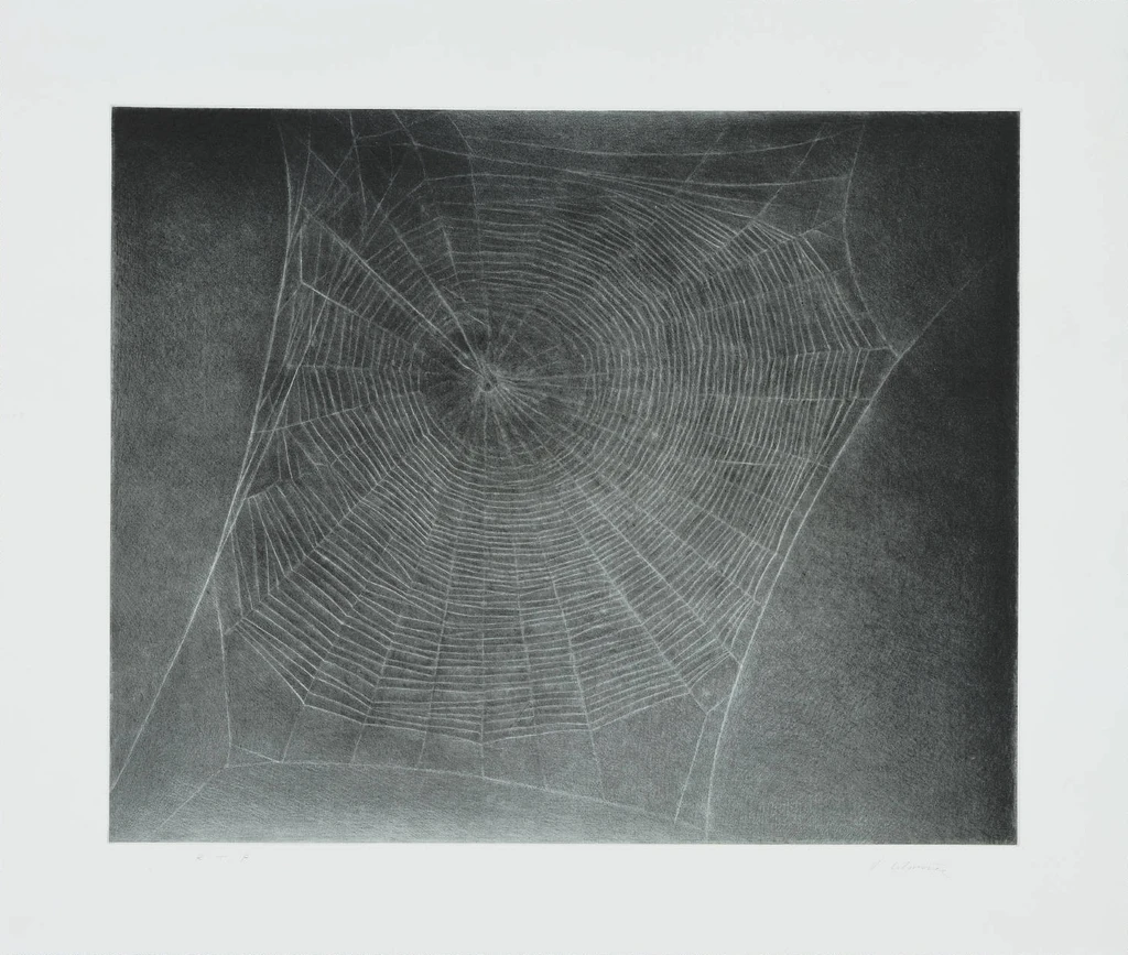 Untitled (Web 4)