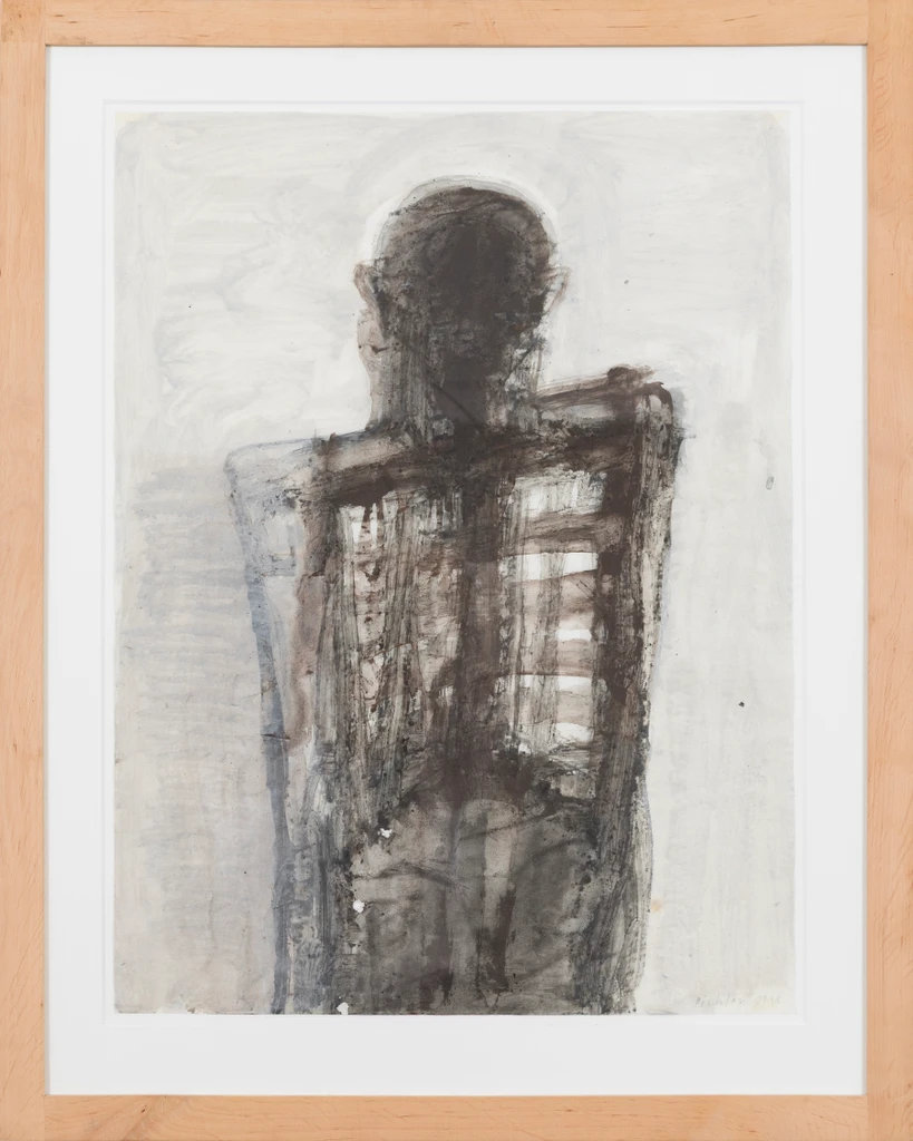 Torso