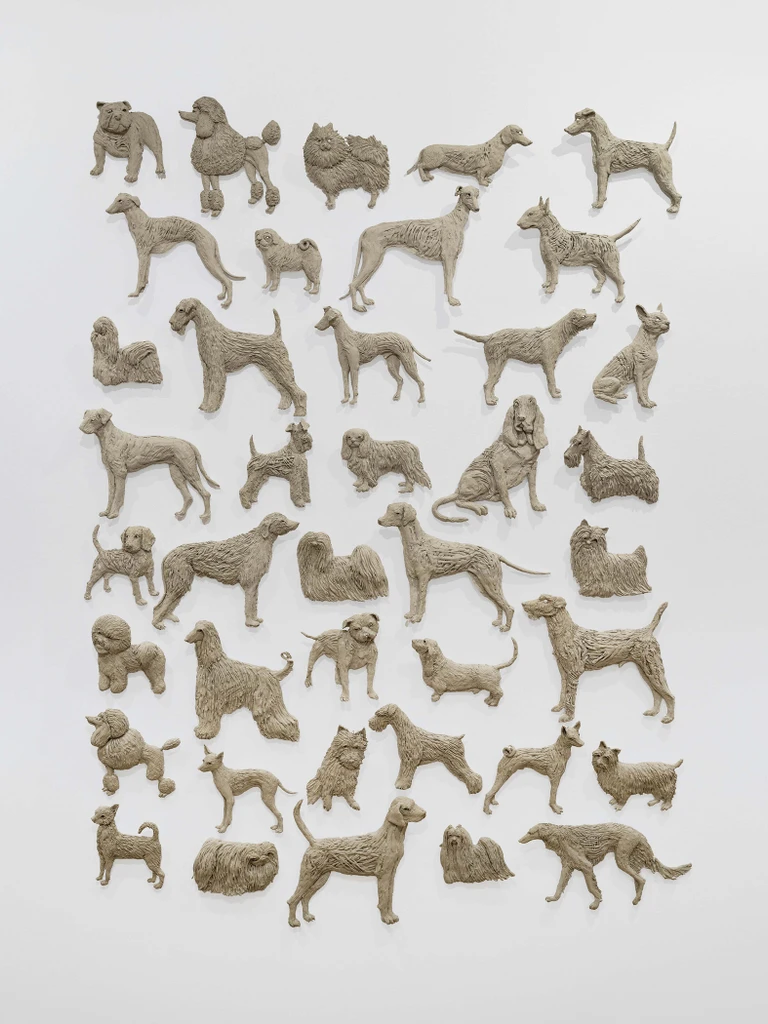 Dogs: Utility, Toy, Hound, Terrier