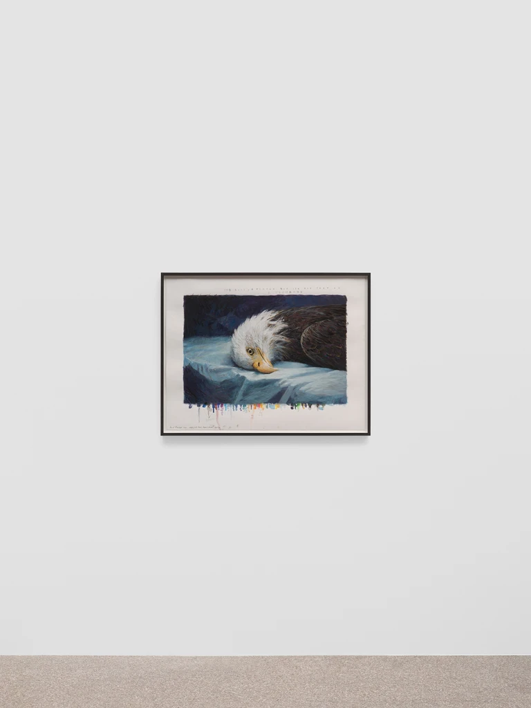 Eagle Eye (drawing) 