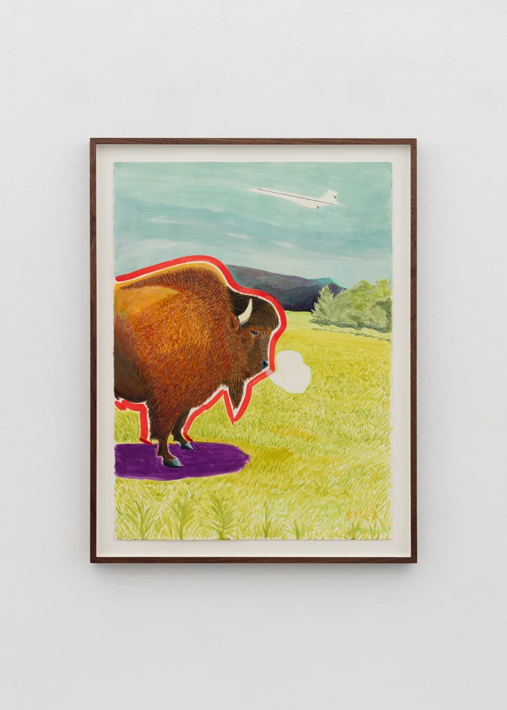Buffalo avec le Concord