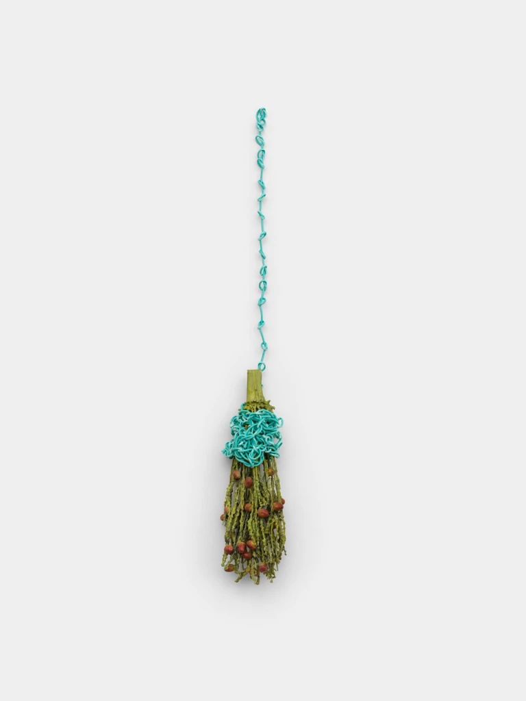 Hanging Palm
