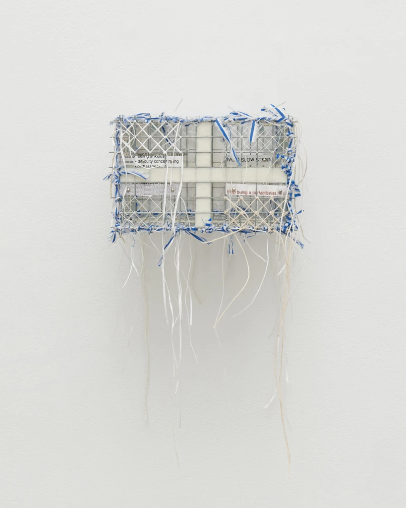 Cage (Brain) # 6 (9-5)