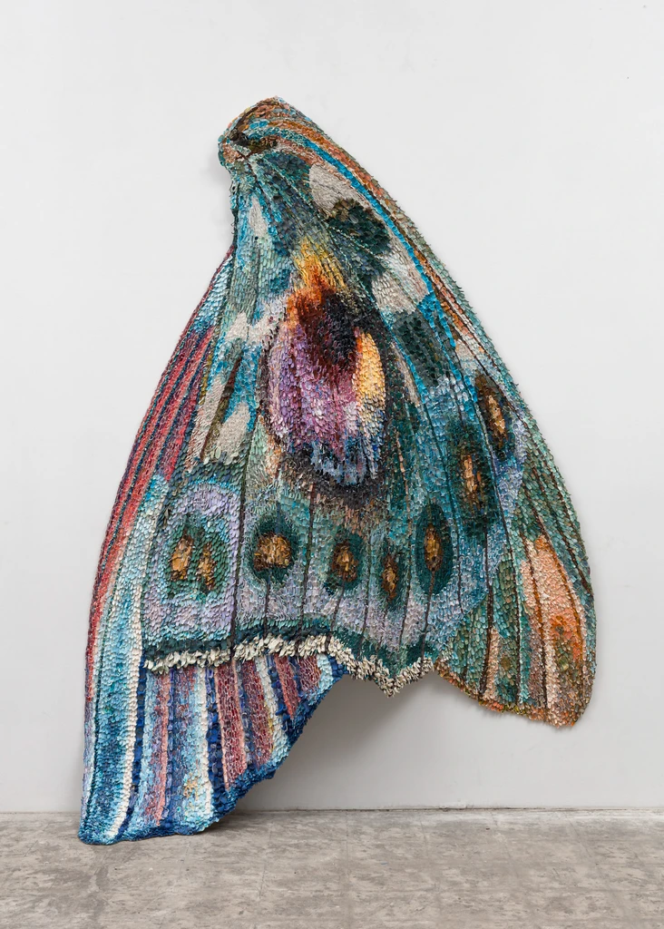 Blue Peacock Wing