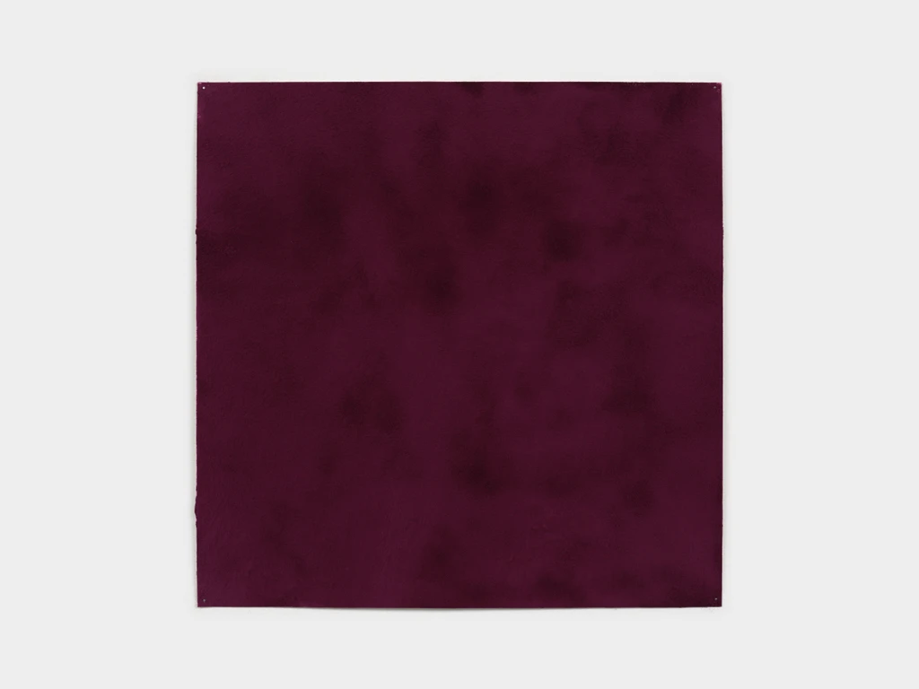 Purple Potato