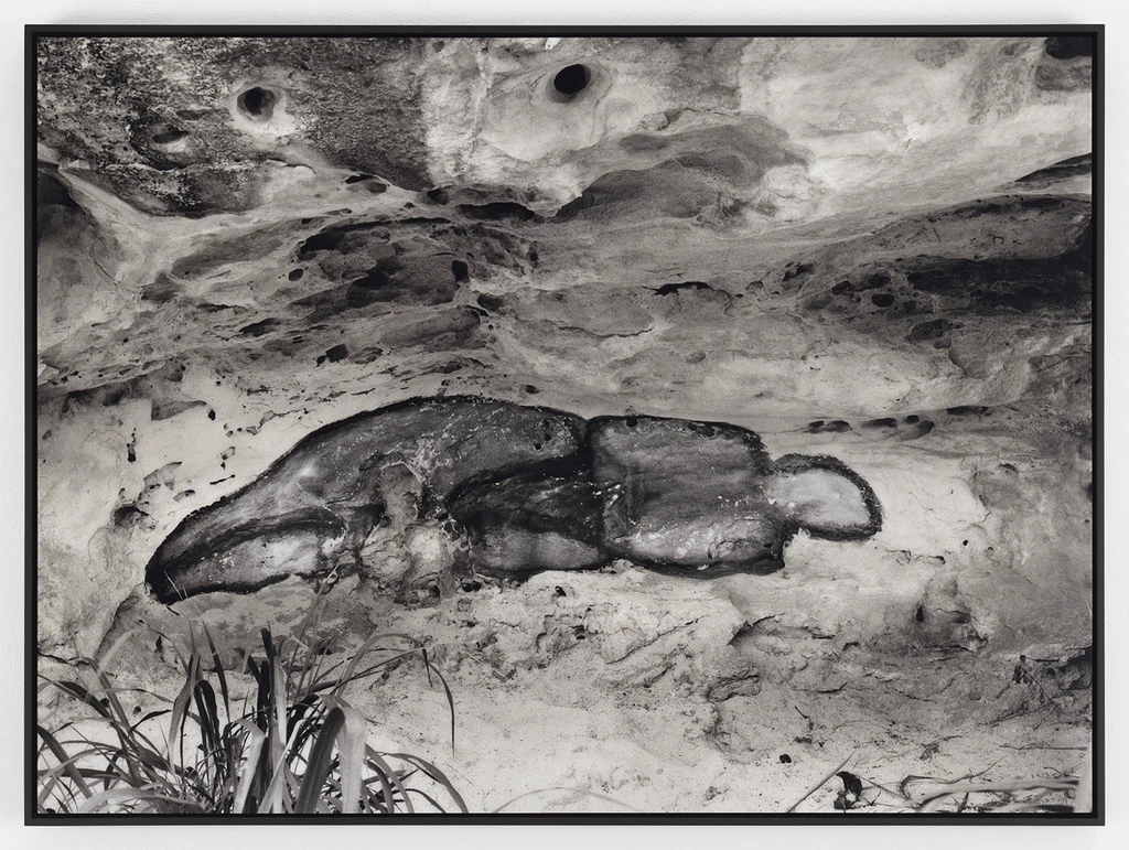 La Venus Negra [The Black Venus]
