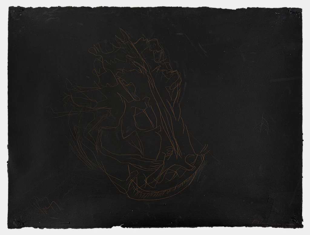 Untitled (Catfish skull on black)