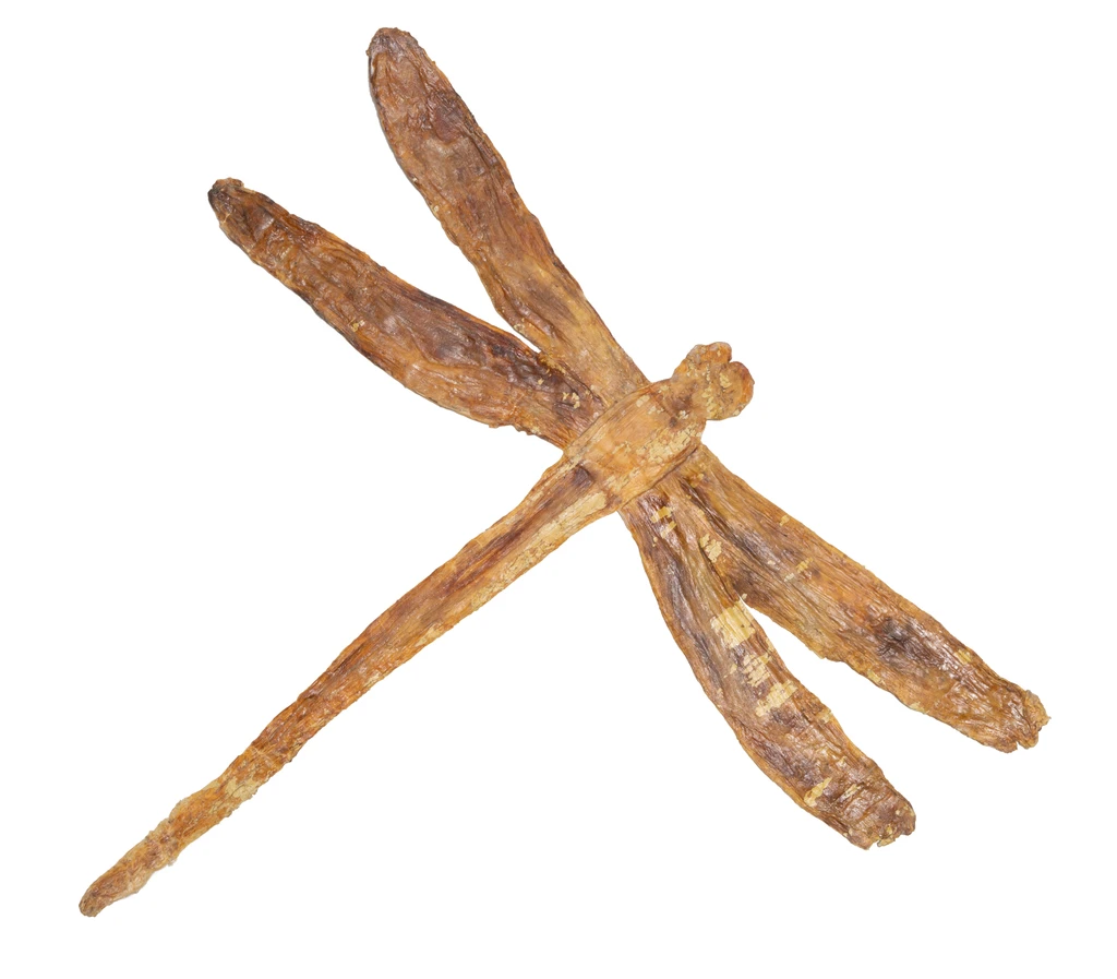 Libellenobjekt (Dragonfly object)