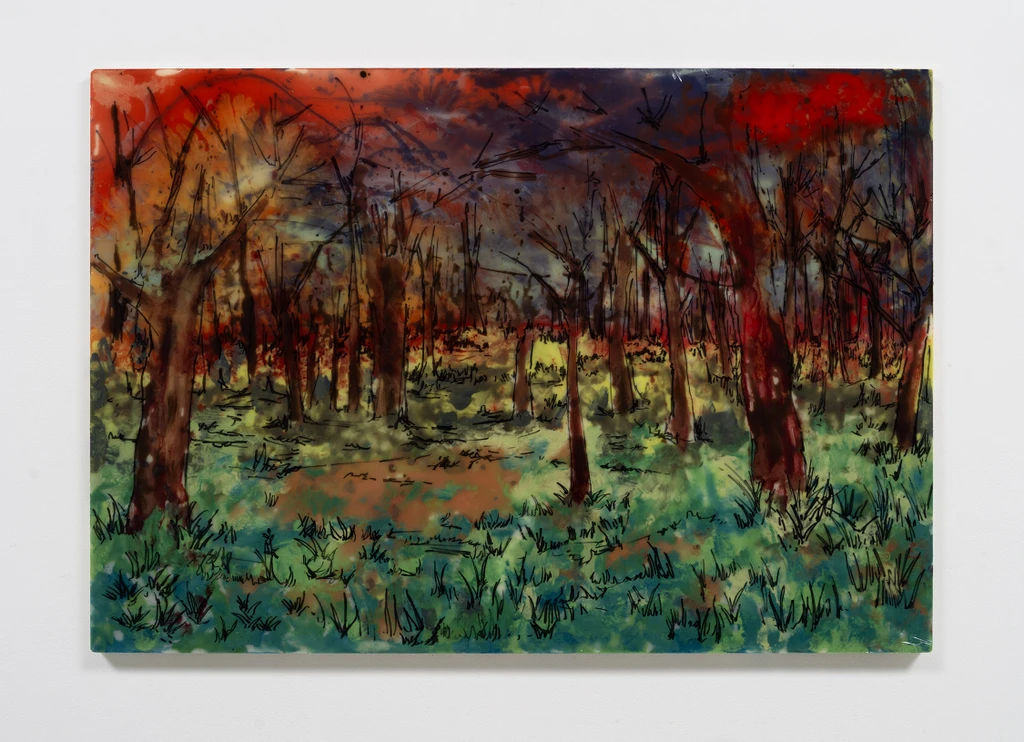 Forest Dawn