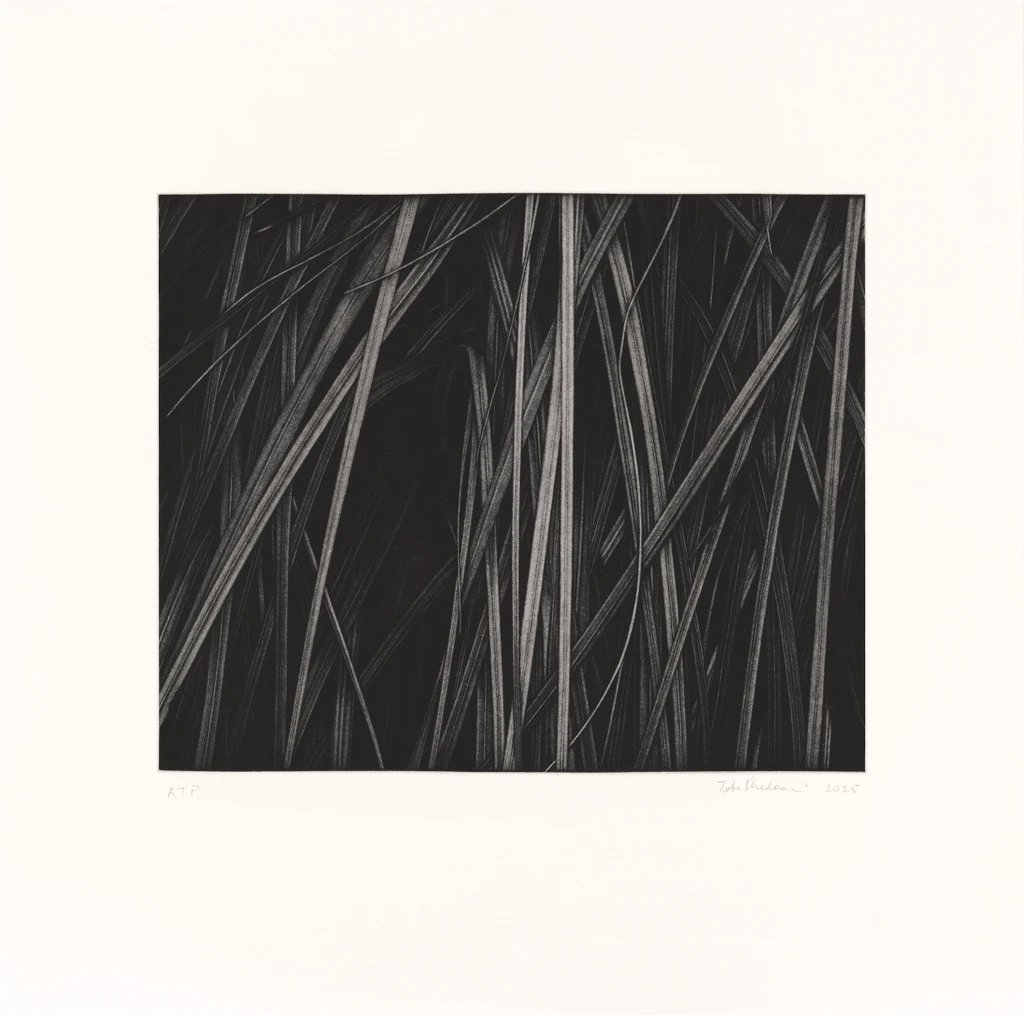 Untitled 3