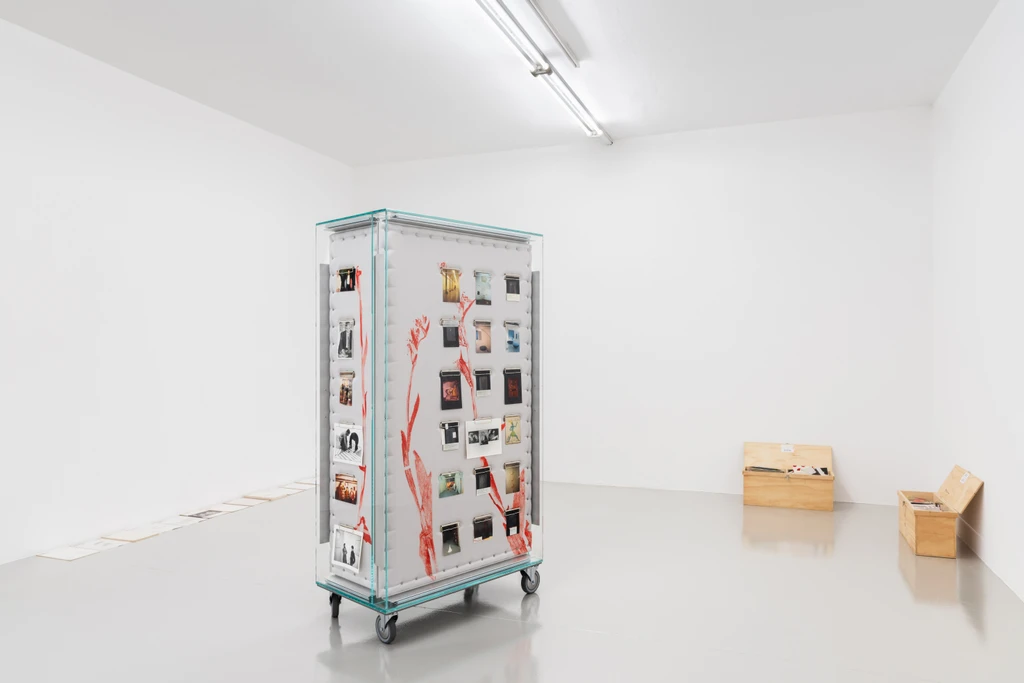 Untitled (Cabinet 1)