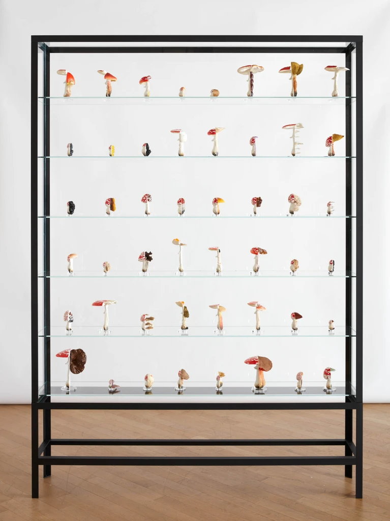 Double Mushroom Vitrine (Forty-eightfold)