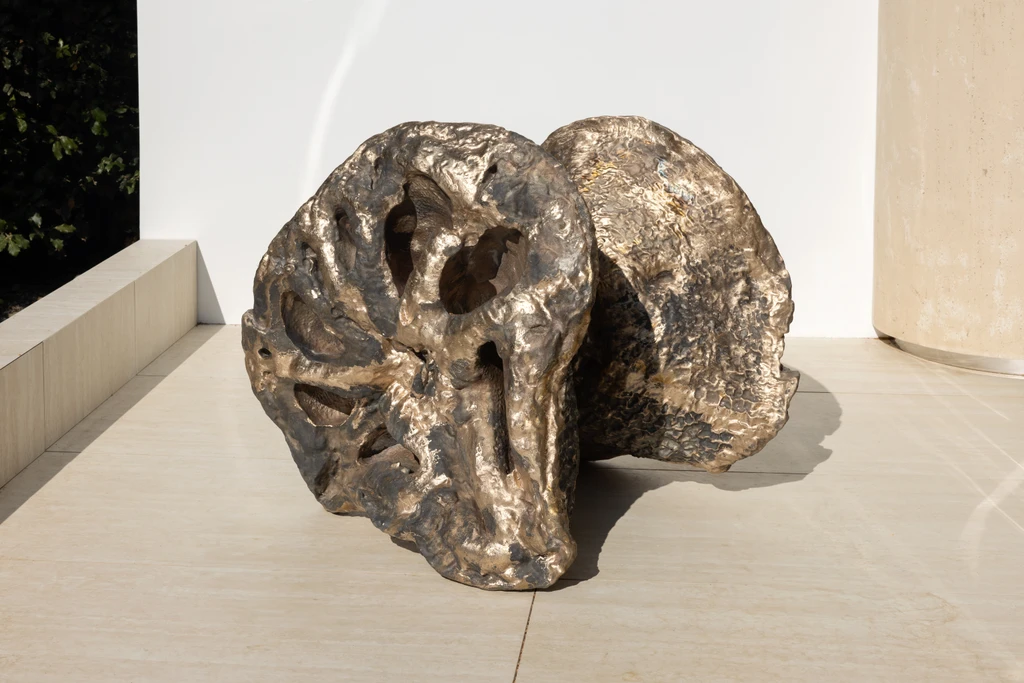 Root II
