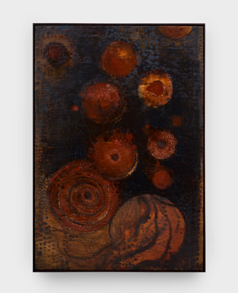 Study of Colony
