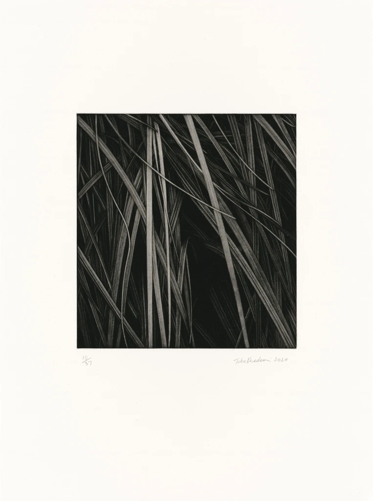 Untitled 1