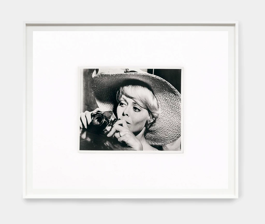 Woman With A Camera (1967)