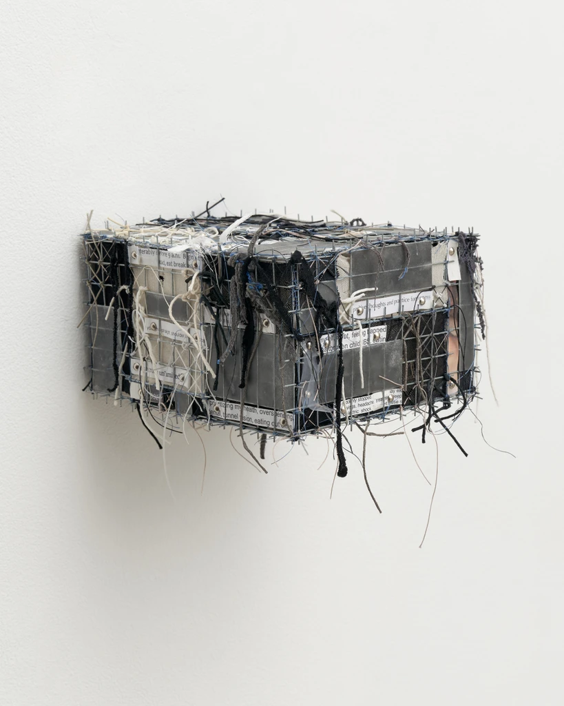 Cage (Brain) #11 (January), or Ode to Janus