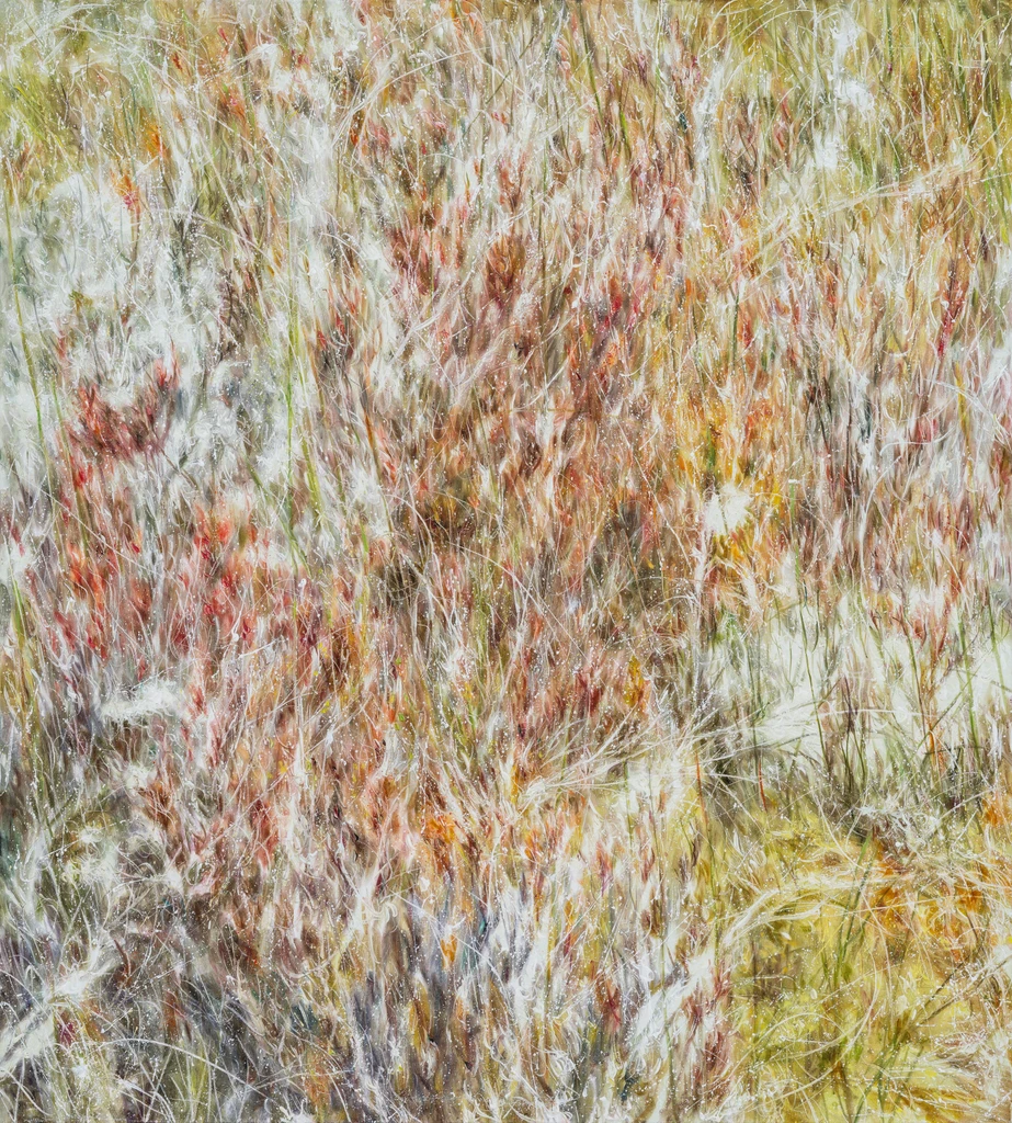 Untitled 4146-3