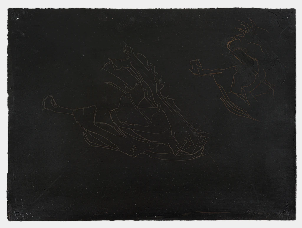 Untitled (Catfish skull on black)
